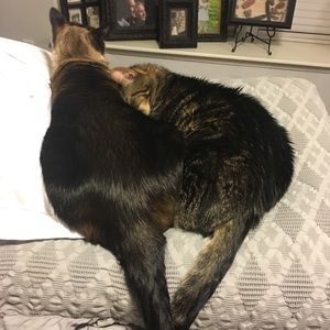 Meet your Posher, Karen